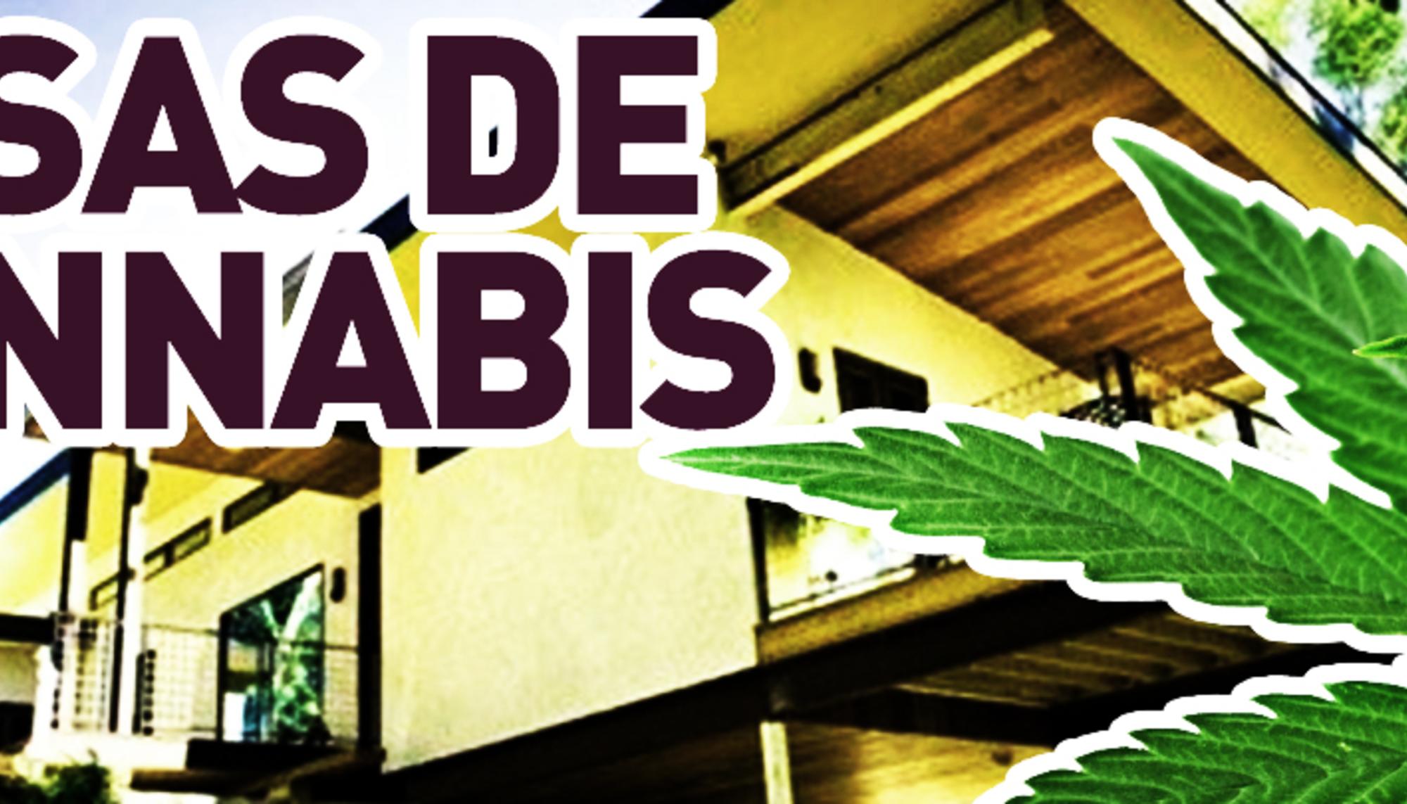 casas de cannabis